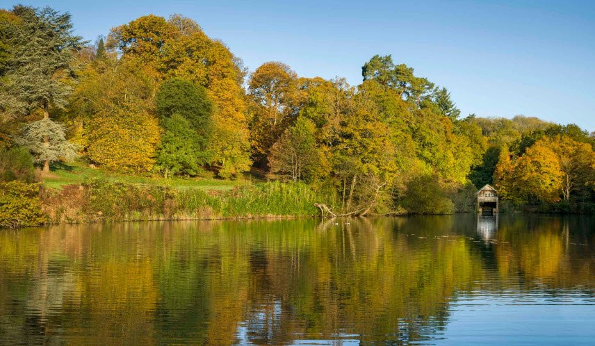 Winkworth Arboretum, United Kingdom
